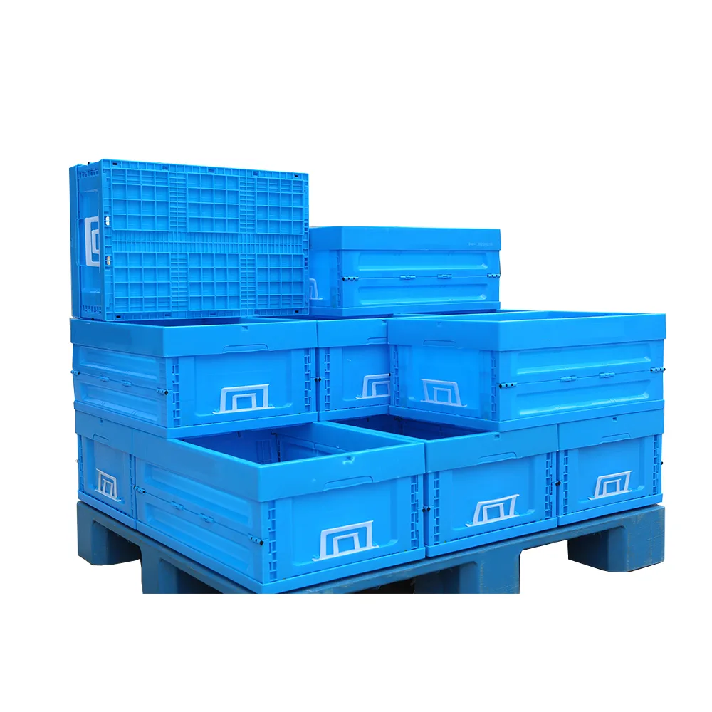 Foldable and Collapsible Plastic Boxes for Logistics